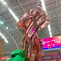 荷兰劲旅胜利挺进决赛，实力获赞誉
